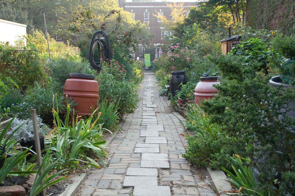 The programs featured image