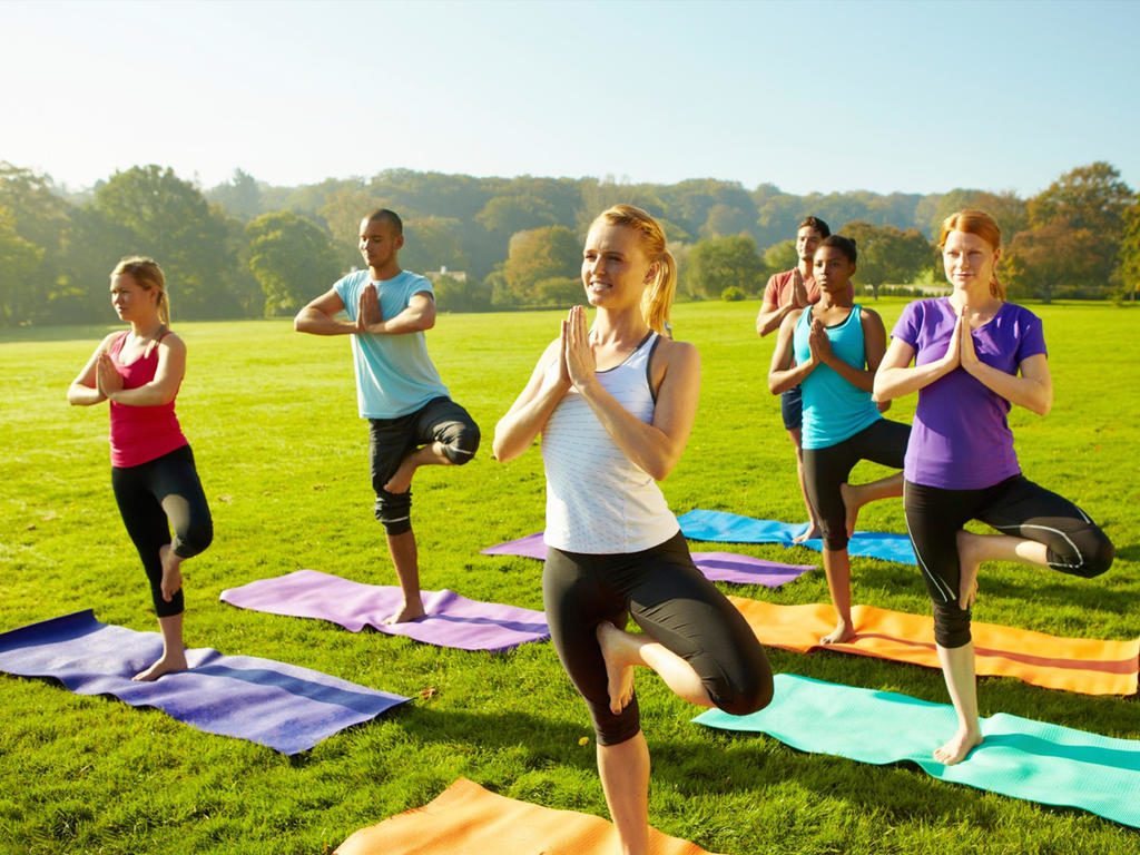 The programs featured image